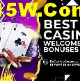VIP Rewards System